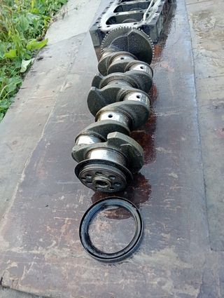 Despiece Motor Fiat Ducato 2.3 (2009) F1AE0481D