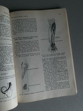 "Anatomía", del Dr. John V. Basmajian (1972)