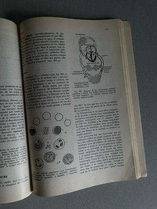 "Anatomía", del Dr. John V. Basmajian (1972)