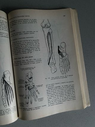 "Anatomía", del Dr. John V. Basmajian (1972)