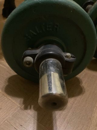 Manubri Salter con dischi verdi
