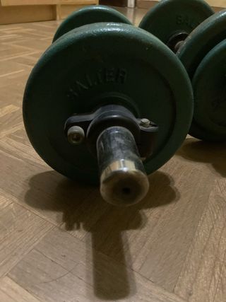 Manubri Salter con dischi verdi