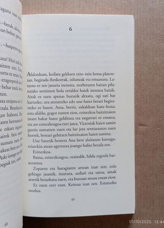 Literatura juvenil/ gazte literatura - Euskera