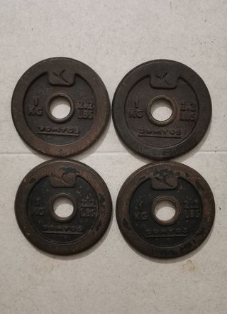 Discos de pesas Domyos