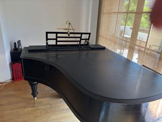 Piano Blüthner Alta Gama