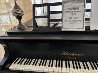 Piano Blüthner Alta Gama