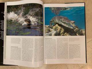 2 libros grandes El agua y la vida 36x26 cm