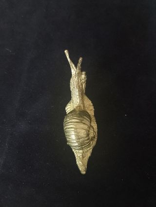 Caracol Lumaca Ottone Laiton