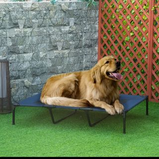 Cama para perro azul y negra