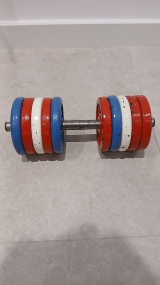 Pesas ajustables 10 discos 1kg