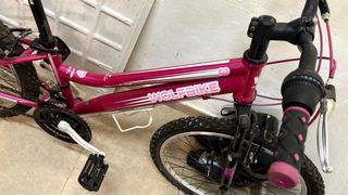 Bicicleta rosa WOLFBIKE niña