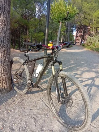 Stevens Devil's Trail 29 2015