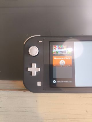 Nintendo Switch Lite Gris