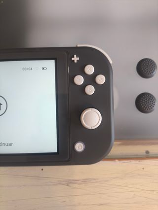 Nintendo Switch Lite Gris