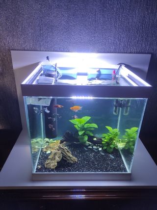 Acuario 45L