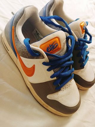 Zapatillas Nike SB Dunk Low
