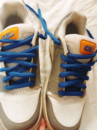 Zapatillas Nike SB Dunk Low