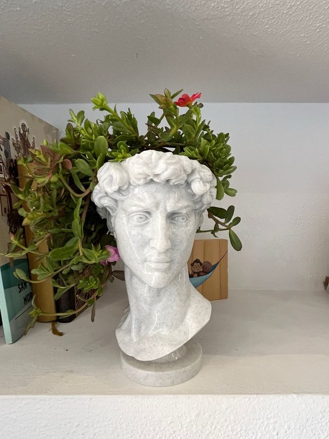 Maceta Busto David Efecto Mármol