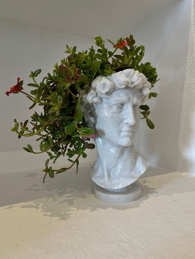 Maceta Busto David Efecto Mármol