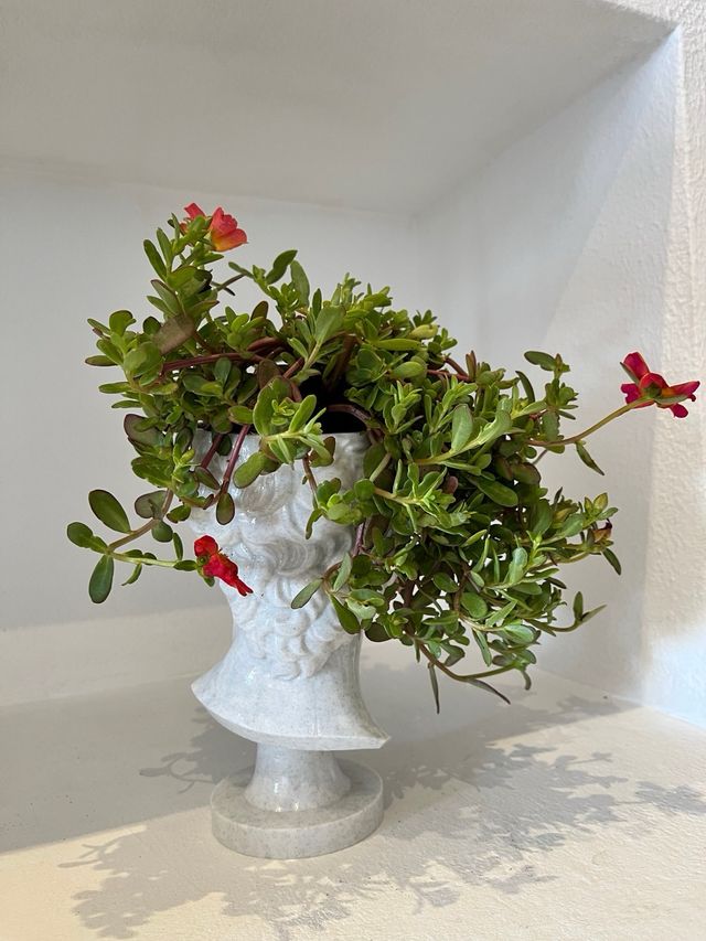 Maceta Busto David Efecto Mármol