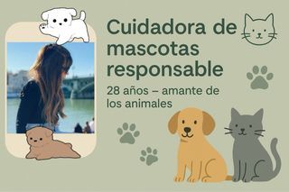 Paseos para perros - Madrid (Ensanche)