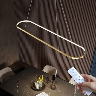 Lámpara colgante LED ovalada con mando y regulable
