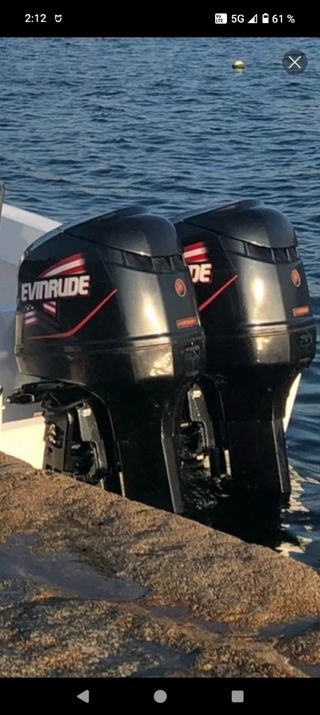 Pareja de fuerabordas Evinrude FICHT 250