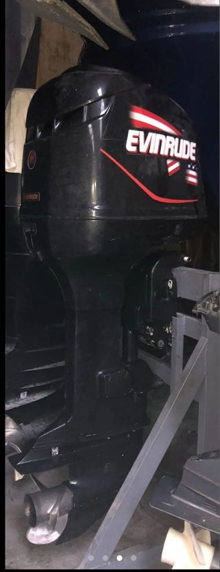 Pareja de fuerabordas Evinrude FICHT 250