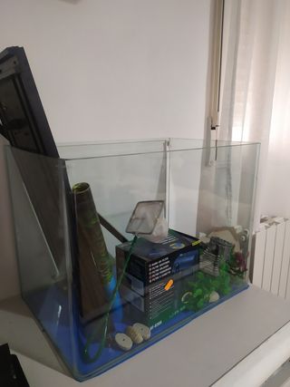 Acuario 50L con accesorios