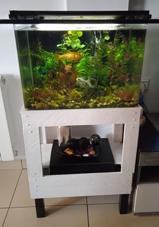 Acuario 50L con accesorios