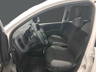 Fiat Panda Panda Hybrid 1.0 Gse 51kw (70CV)