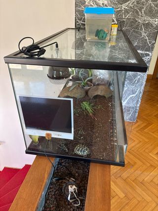 Terrario Tortuga Cristal y Plástico
