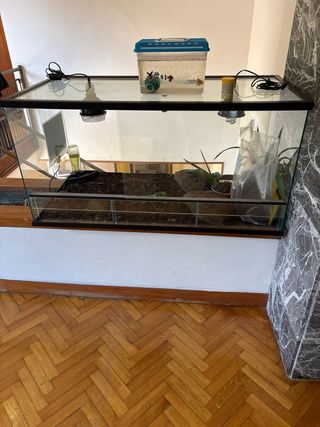 Terrario Tortuga Cristal y Plástico