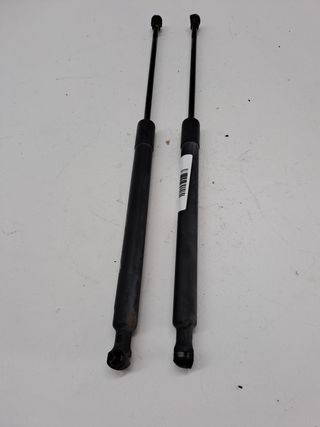 AMORTIGUADORES MALETERO / PORTON CITROEN C3 (7)