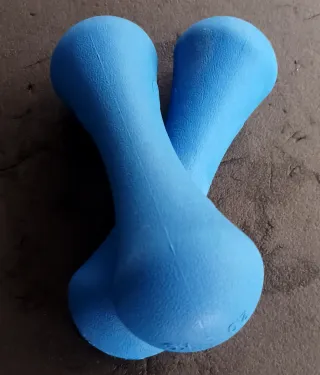 Coppia Manubri 2kg Blu