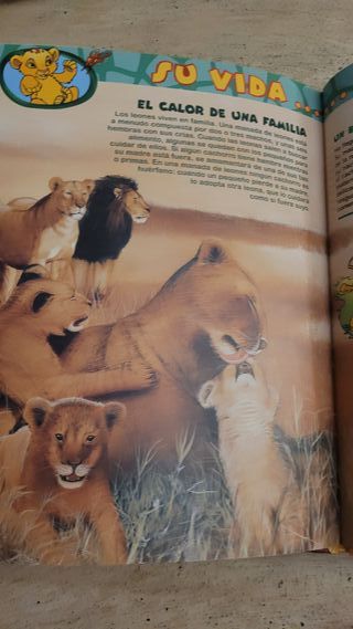 Libro El mundo de los animales Disney Los leones