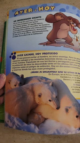El mundo de los animales Disney Los Osos 