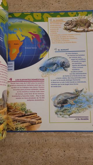 El mundo de los animales Disney Los elefantes 