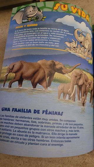El mundo de los animales Disney Los elefantes 