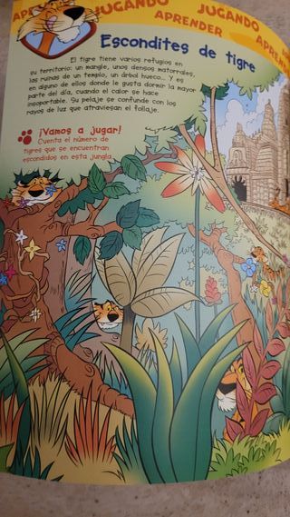 El mundo de los animales Disney Las tortugas