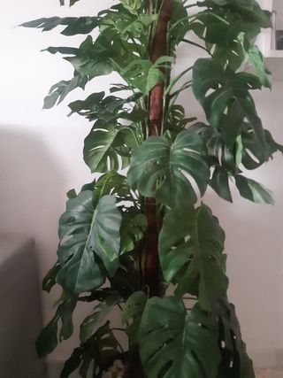 Planta artificial Monstera 1,40m
