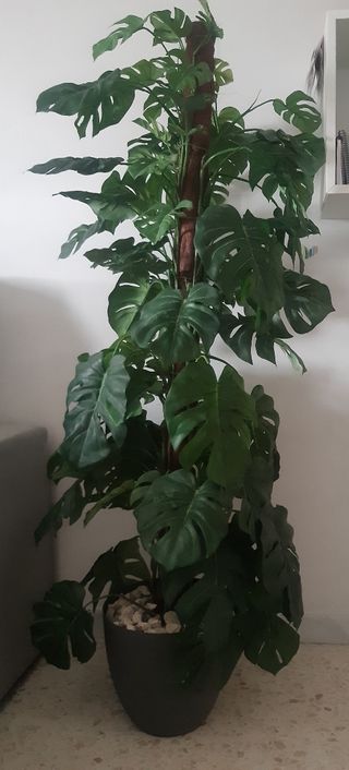 Planta artificial Monstera 1,40m