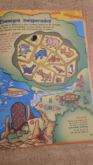El mundo de los animales Disney Las Tortugas