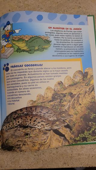 El mundo de los animales Disney Los cocodrilos