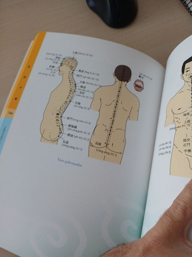 Guía ilustrada de medicina china (Salud - Biene...
