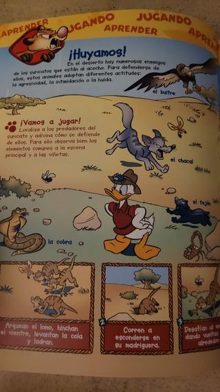 El Mundo de los Animales Disney: Los Suricatos Nº1