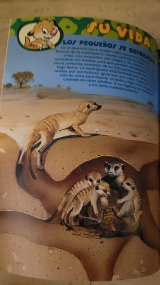 El Mundo de los Animales Disney: Los Suricatos Nº1