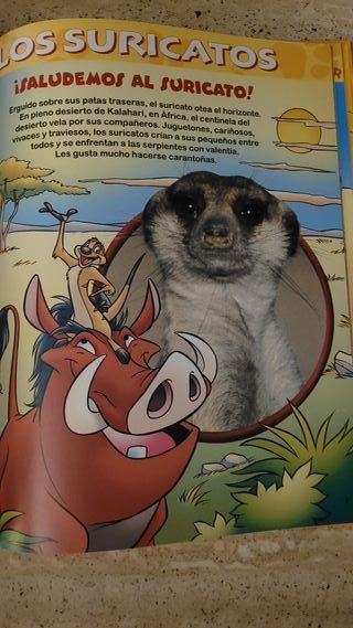 El Mundo de los Animales Disney: Los Suricatos Nº1