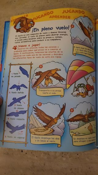 El Mundo de los Animales Disney - Las Águilas