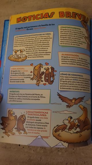 El Mundo de los Animales Disney - Las Águilas